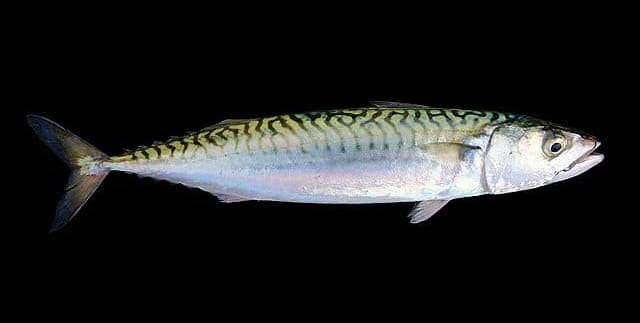 Letter #2: Notes From The Inside