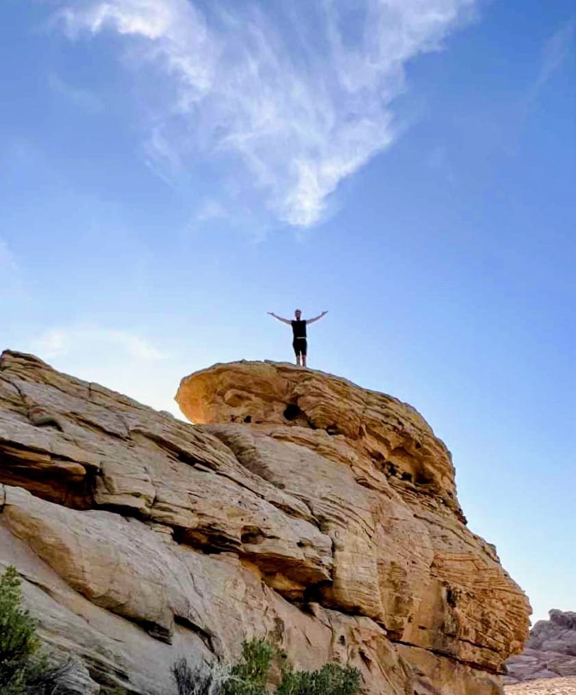 Joakim Book profile image